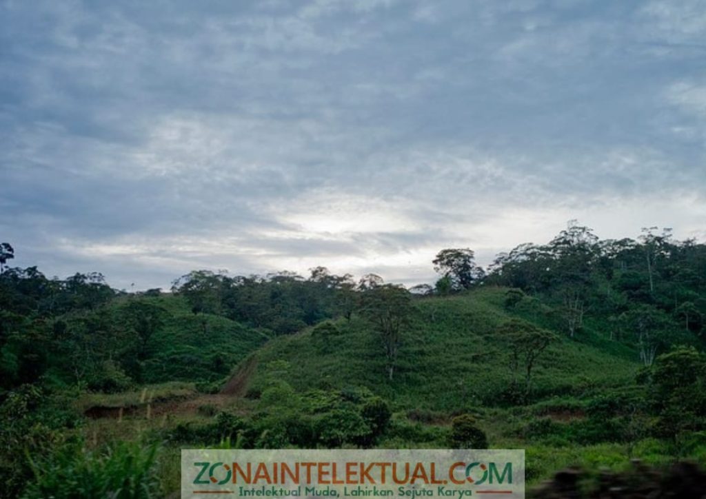 alam Hari Bumi