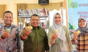 Tapanuli Selatan Tapanuli Selatan