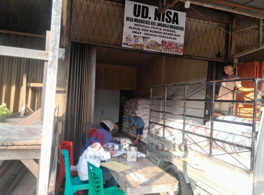 2145_Kelangkaan-Pupuk-di-Tapsel-Terjawab-Pemerintah-Salurkan-15-Ton-ke-Koptan-Tinggal-10-Ton-Lagi