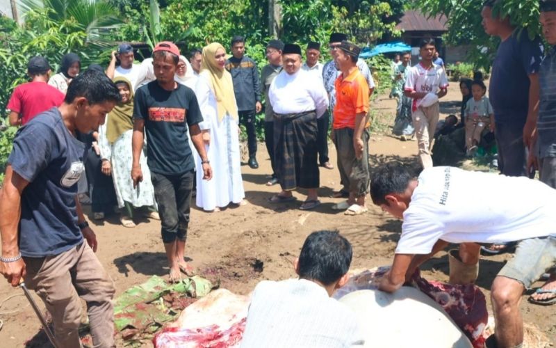_8820_Bupati-Tapsel-Tinjau-3-Lokasi-Pemotongan-Hewan-Kurban
